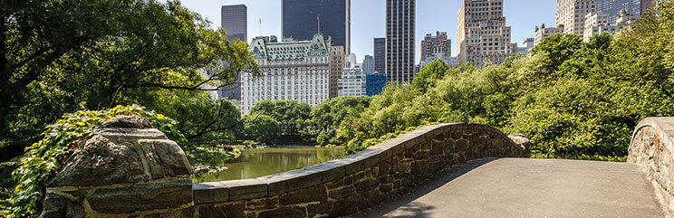 Bridge with cityscape in background